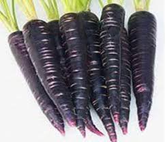 Black Carrot - काली गाजर